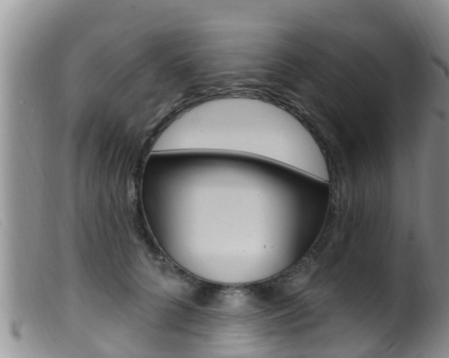 X0000099960704200805231027