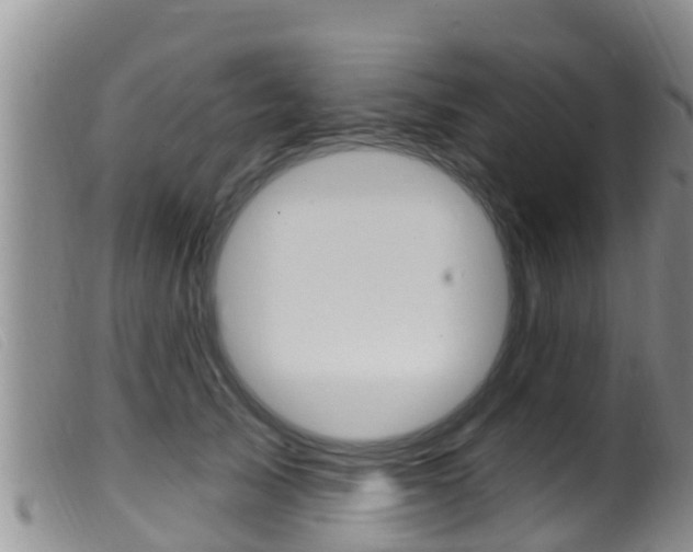 X0000099960705200805231027