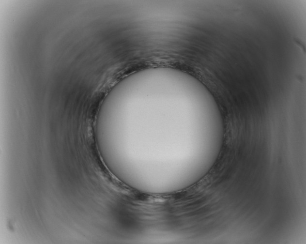 X0000099960706200805231027