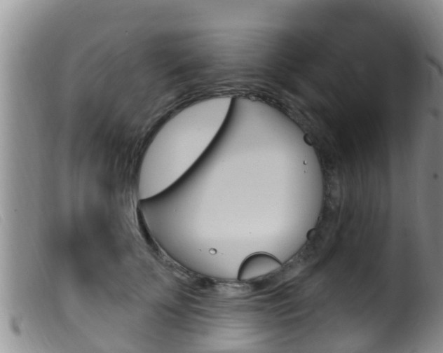 X0000099960707200805231027