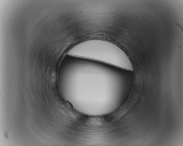 X0000099960708200805231027