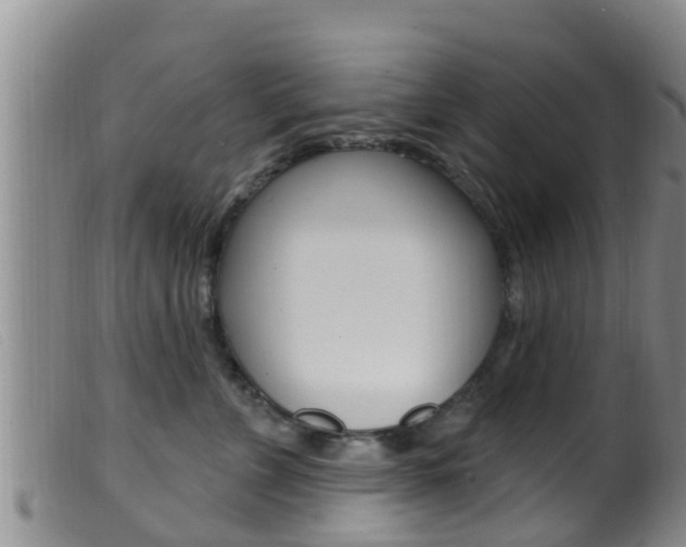 X0000099960715200805231027
