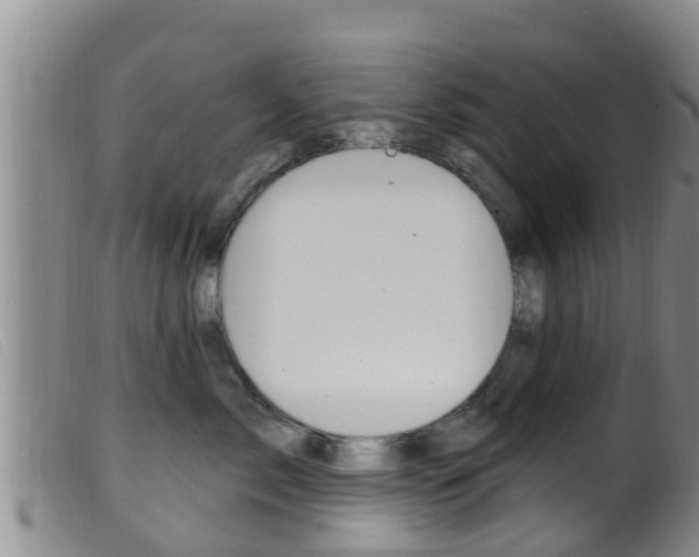 X0000099960717200805231027