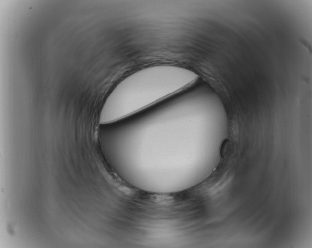 X0000099960719200805231027