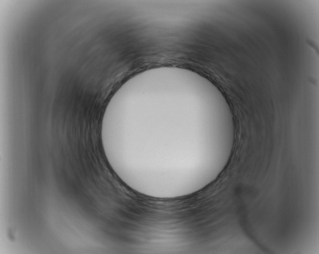 X0000099960720200805231027
