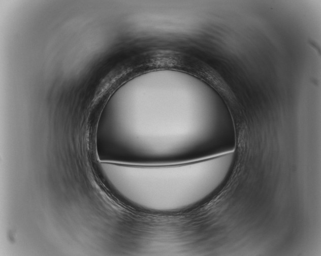 X0000099960722200805231026