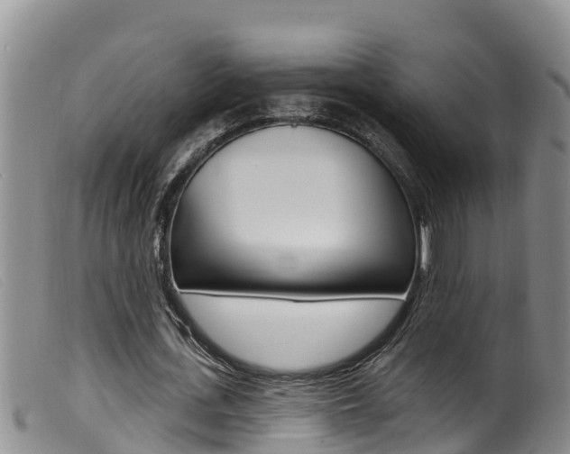 X0000099960723200805231026