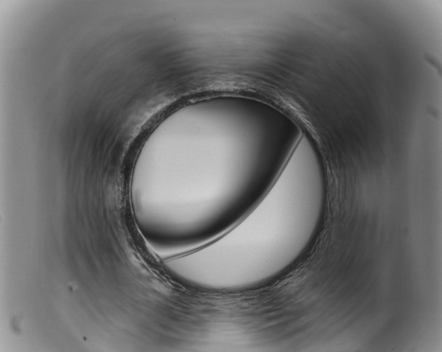 X0000099960724200805231026