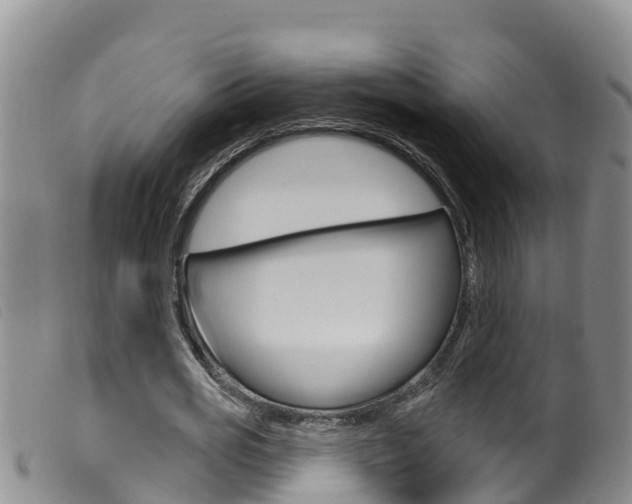 X0000099960725200805231026