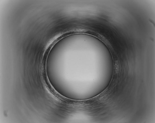X0000099960726200805231026