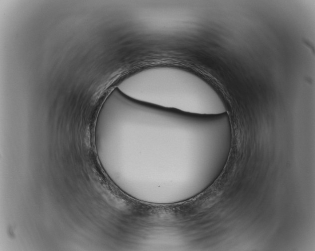 X0000099960729200805231026