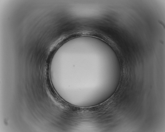 X0000099960730200805231026