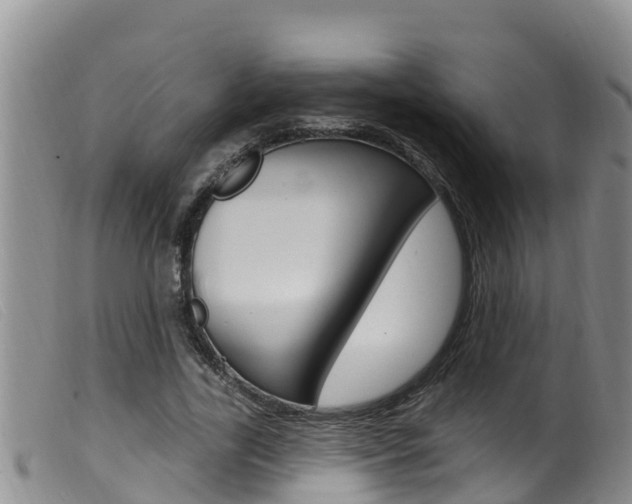 X0000099960731200805231026