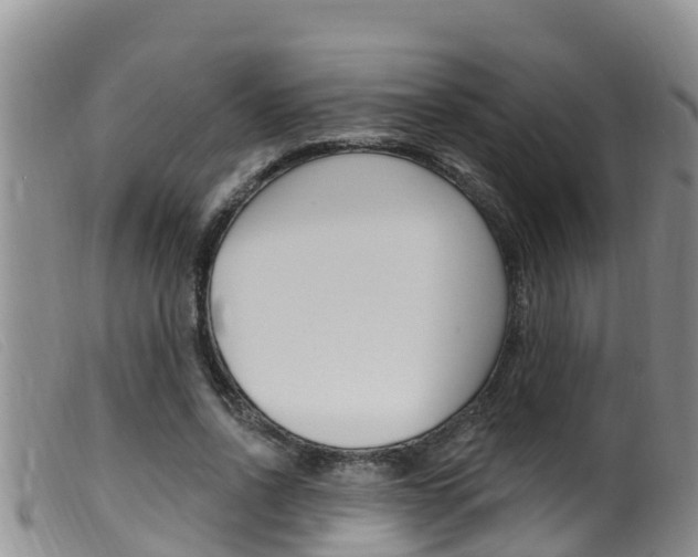 X0000099960734200805231026