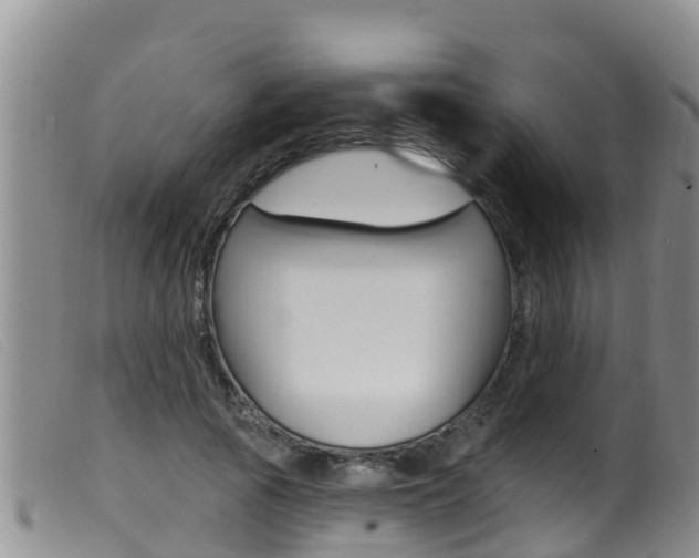 X0000099960737200805231026
