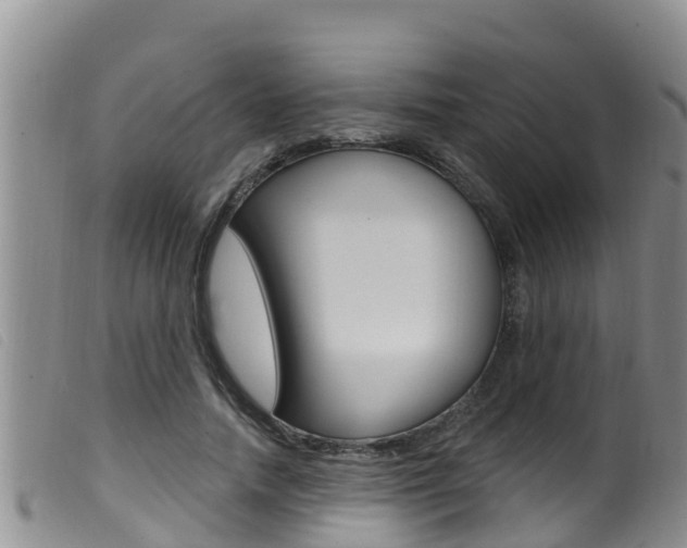 X0000099960738200805231026
