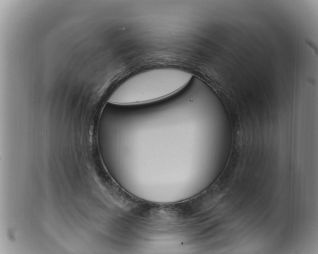 X0000099960739200805231026