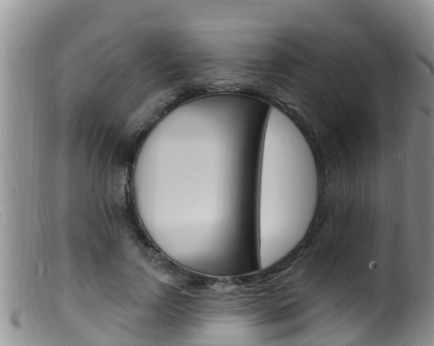 X0000099960742200805231026