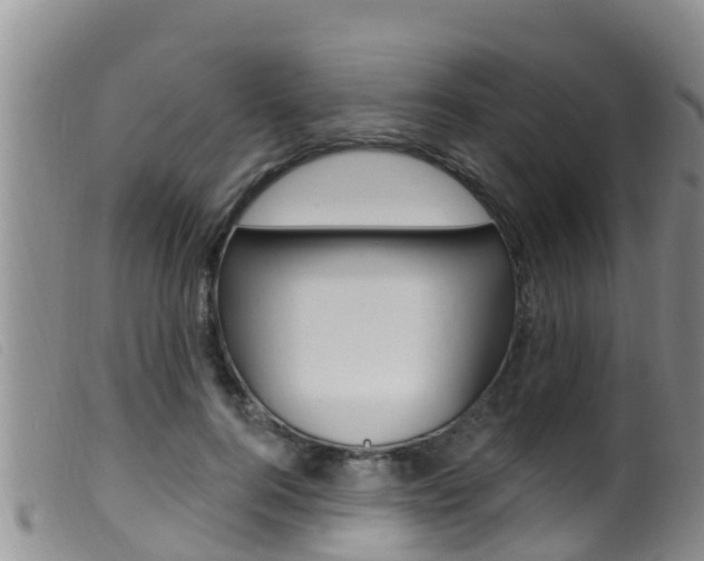 X0000099960744200805231026
