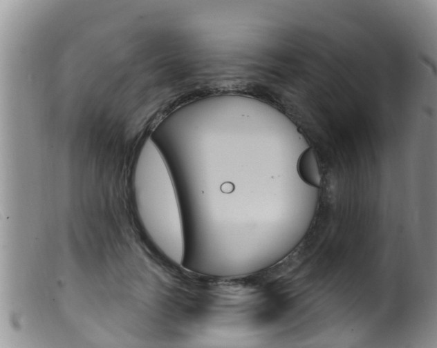 X0000099960746200805231026