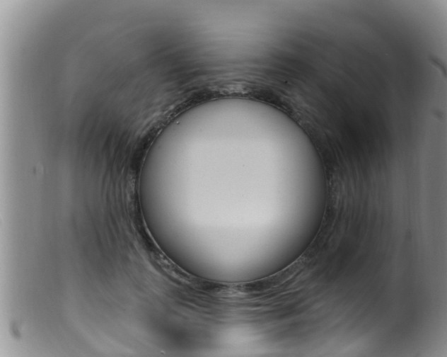 X0000099960747200805231026