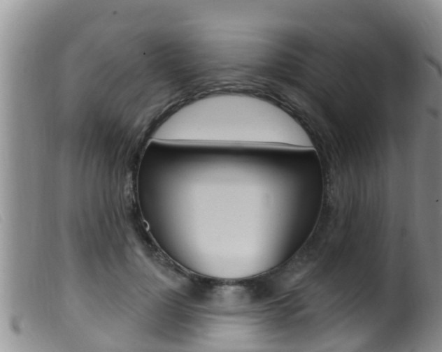 X0000099960748200805231026