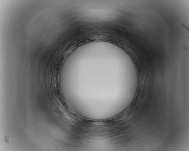 X0000099960749200805231026