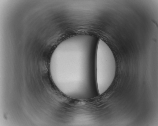 X0000099960751200805231026