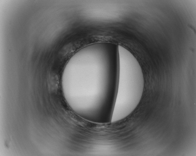 X0000099960752200805231026