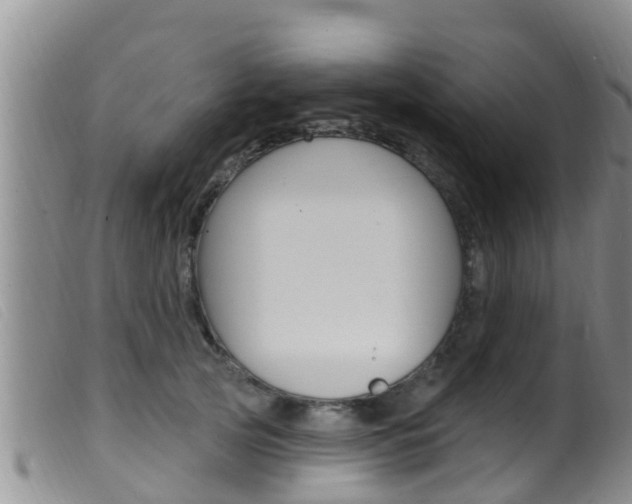 X0000099960753200805231026