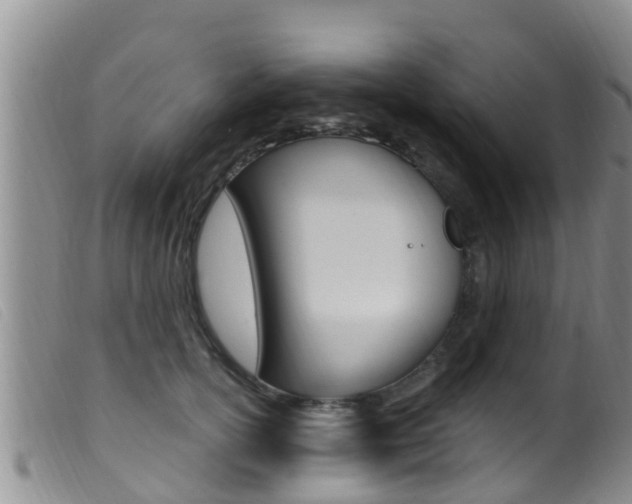 X0000099960754200805231026
