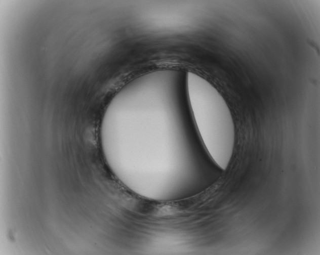 X0000099960755200805231026
