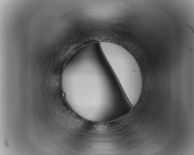 X0000099960756200805231026
