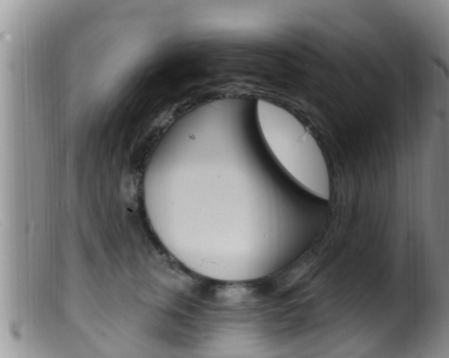 X0000099960759200805231026