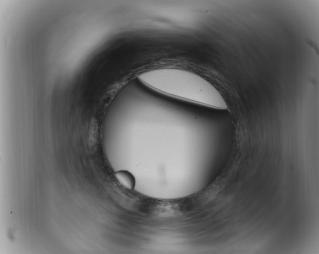 X0000099960760200805231026