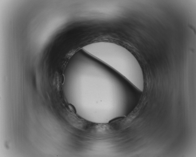 X0000099960762200805231026