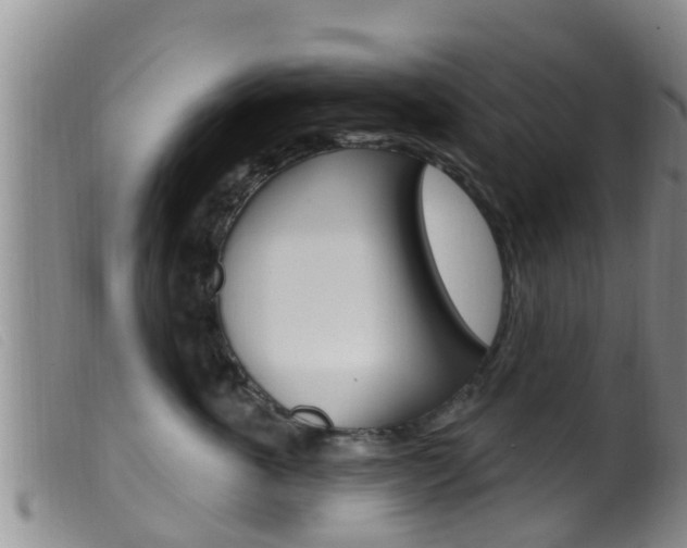 X0000099960763200805231026