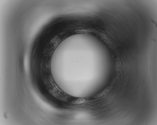X0000099960764200805231026