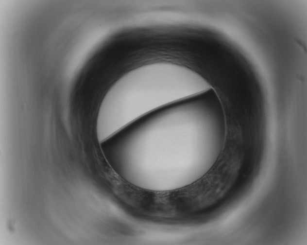 X0000099960766200805231026