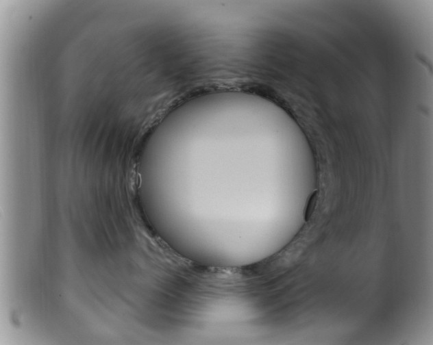 X0000099960768200805231026