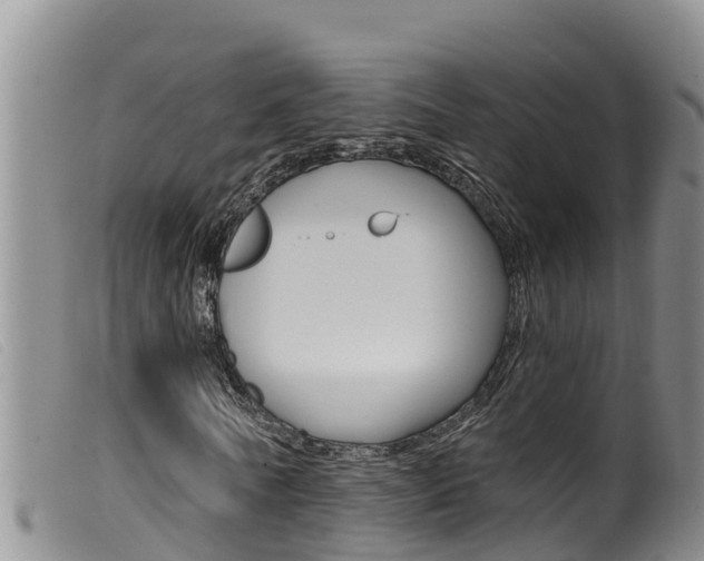X0000099960770200805231026