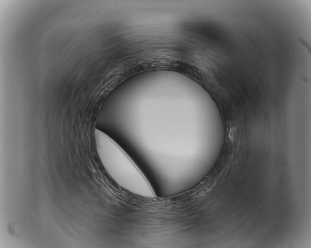 X0000099960771200805231026