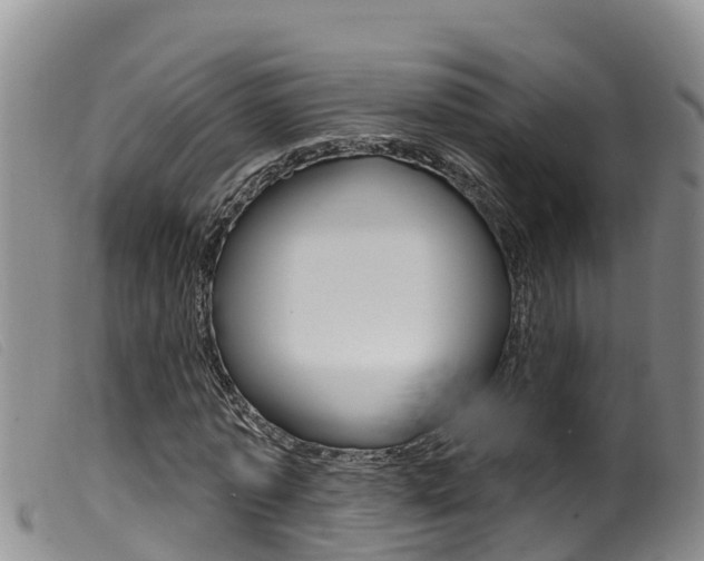 X0000099960773200805231026