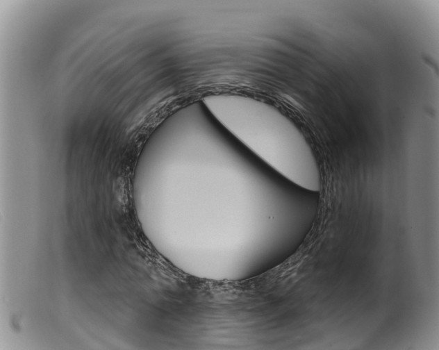 X0000099960774200805231026