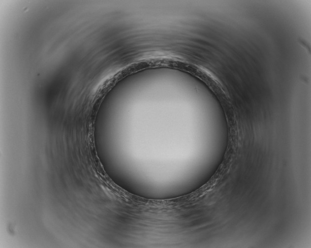 X0000099960775200805231026