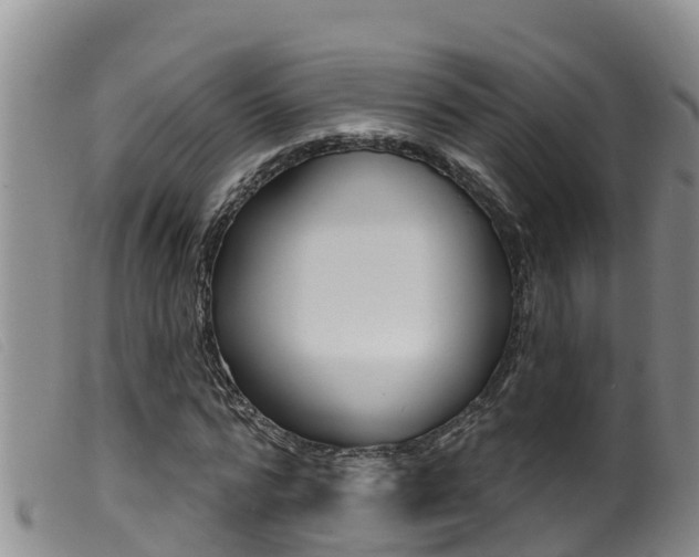 X0000099960776200805231026