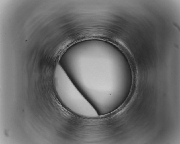 X0000099960777200805231026