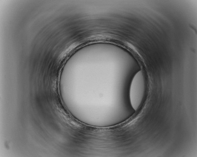 X0000099960778200805231026