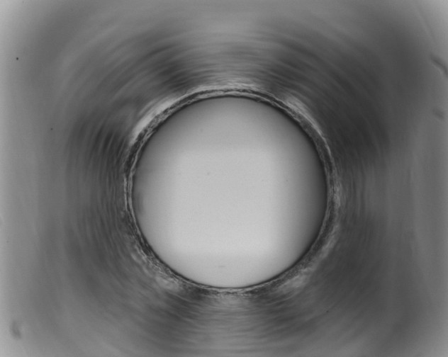 X0000099960781200805231025