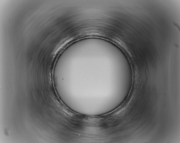 X0000099960782200805231025